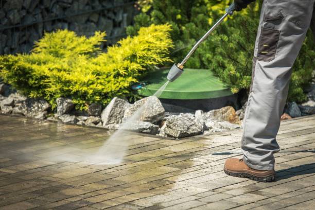 Best Driveway Pressure Washing  in West Point, VA